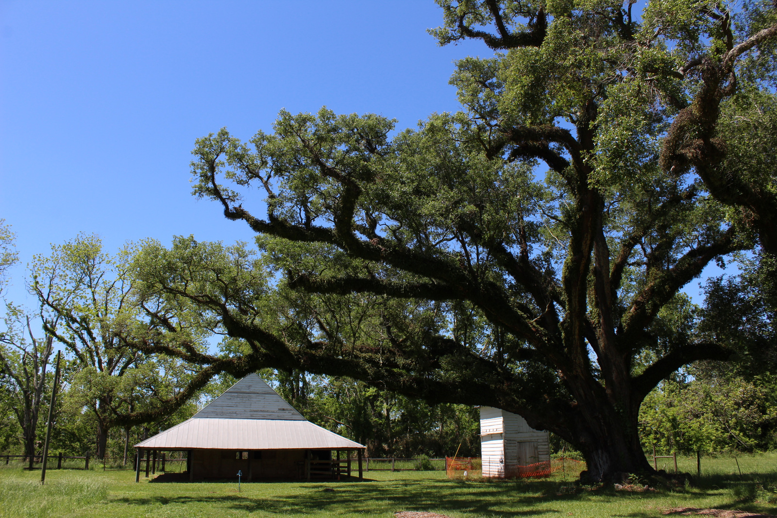 CANE RIVER CREOLE NATIONAL HISTORICAL PARK
