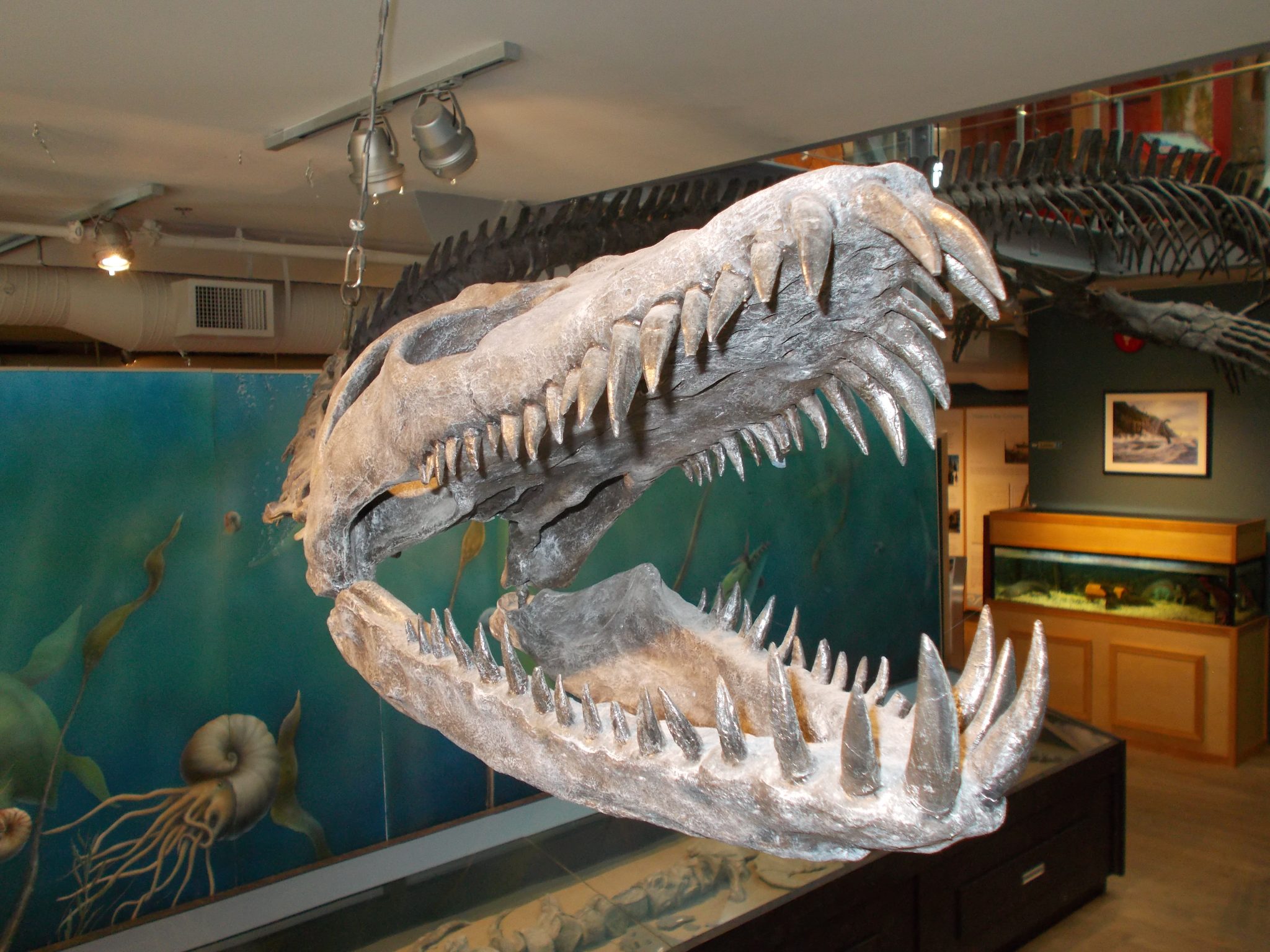 Courtenay & District Museum & Palaeontology Centre