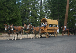 HISTORICAL SONORA PASS WAGON TRAIN GROUP