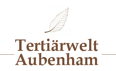 Tertiärwelt Aubenham